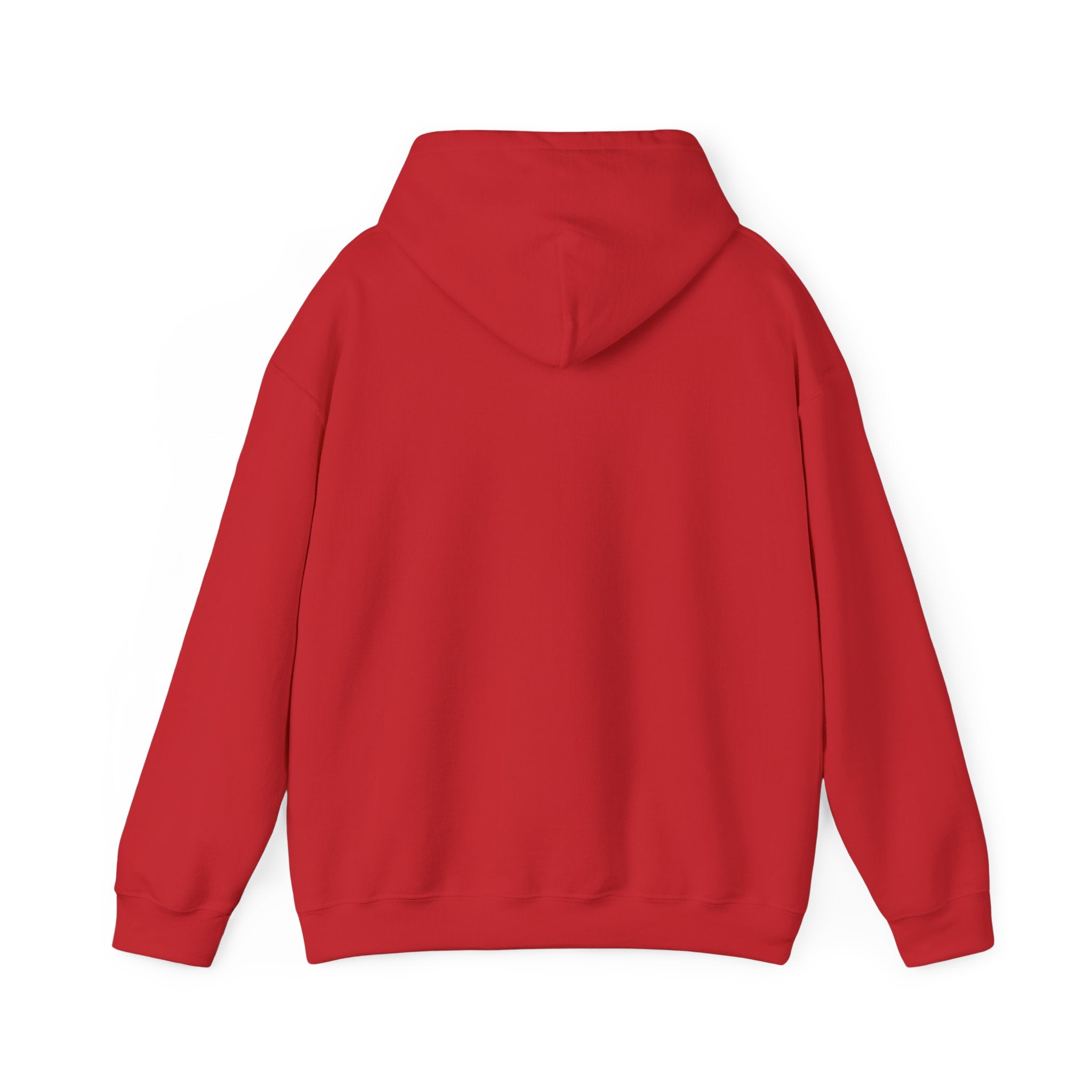 Blessed, Thankful & Grateful Hooded Sweatshirt