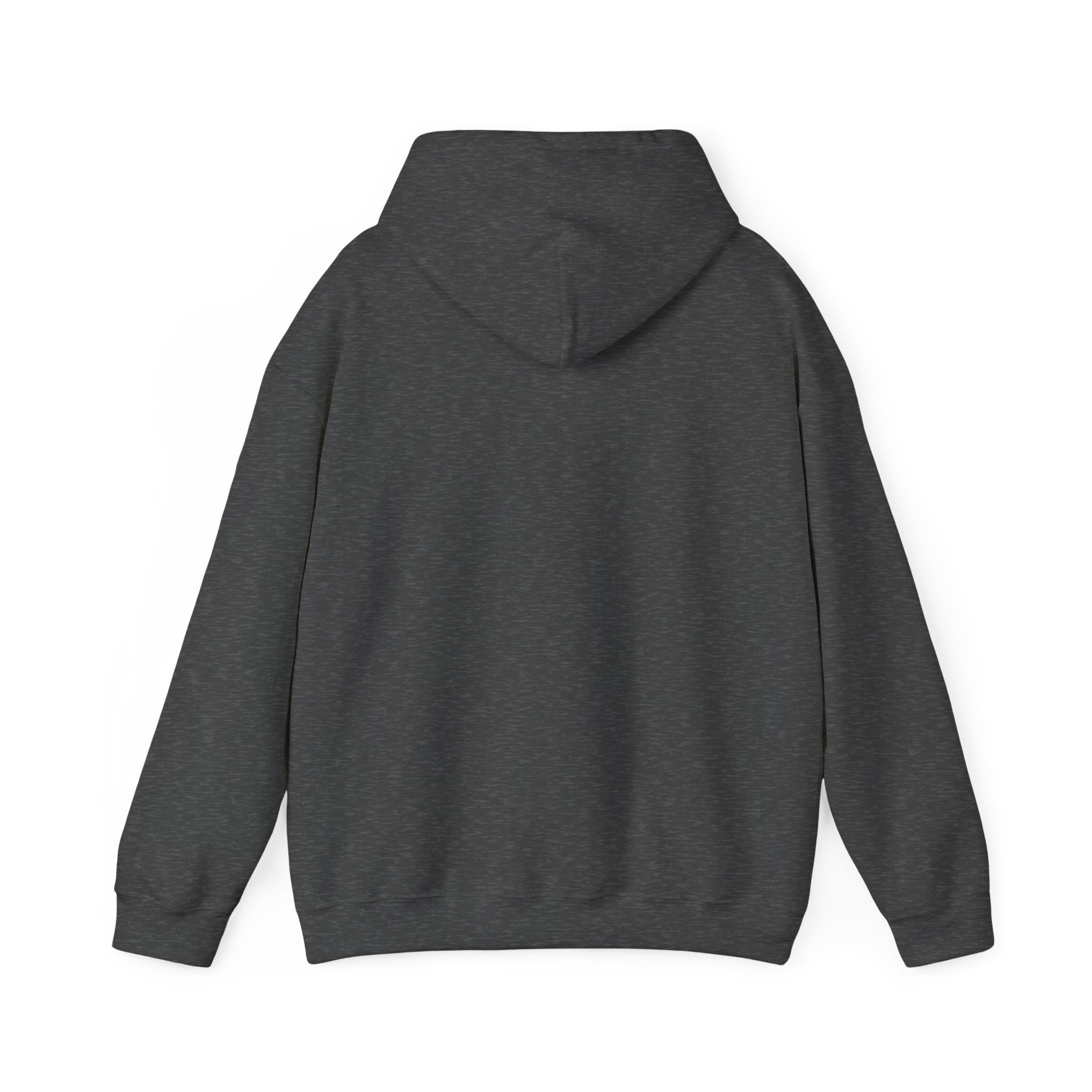 Dream Chaser Hooded Sweatshirt