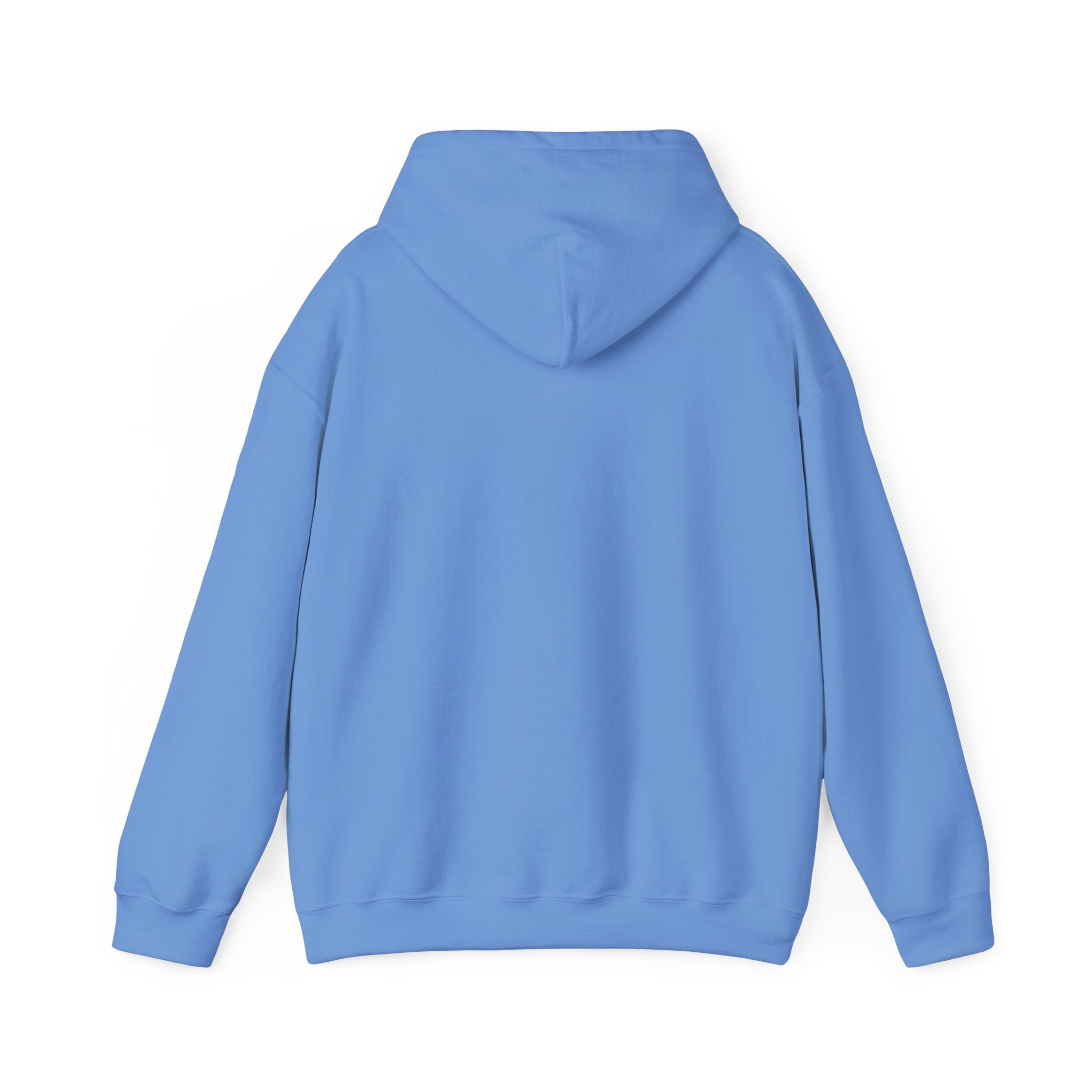 Blessed, Thankful & Grateful Hooded Sweatshirt