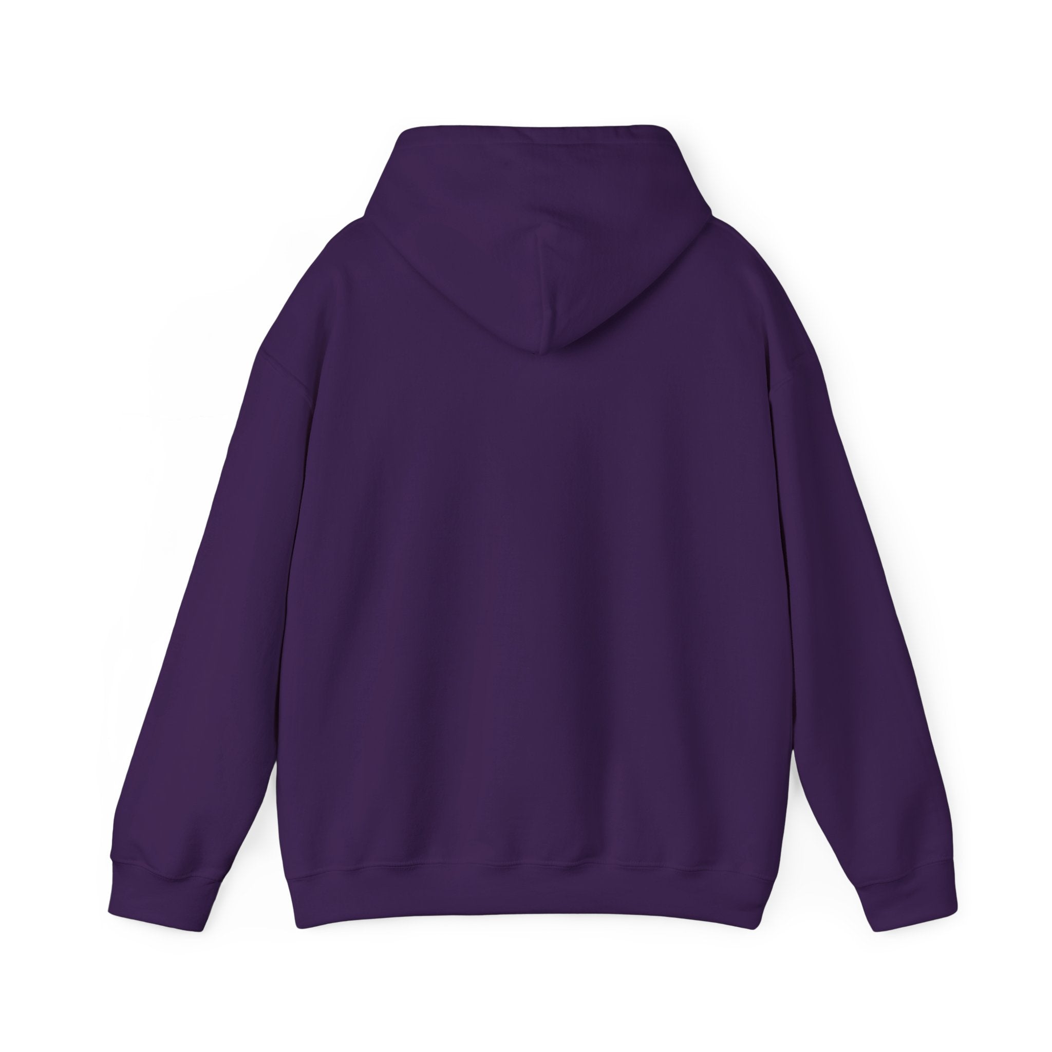 Faith Inspired Hooded Sweatshirt - Faith & Comfort Wear