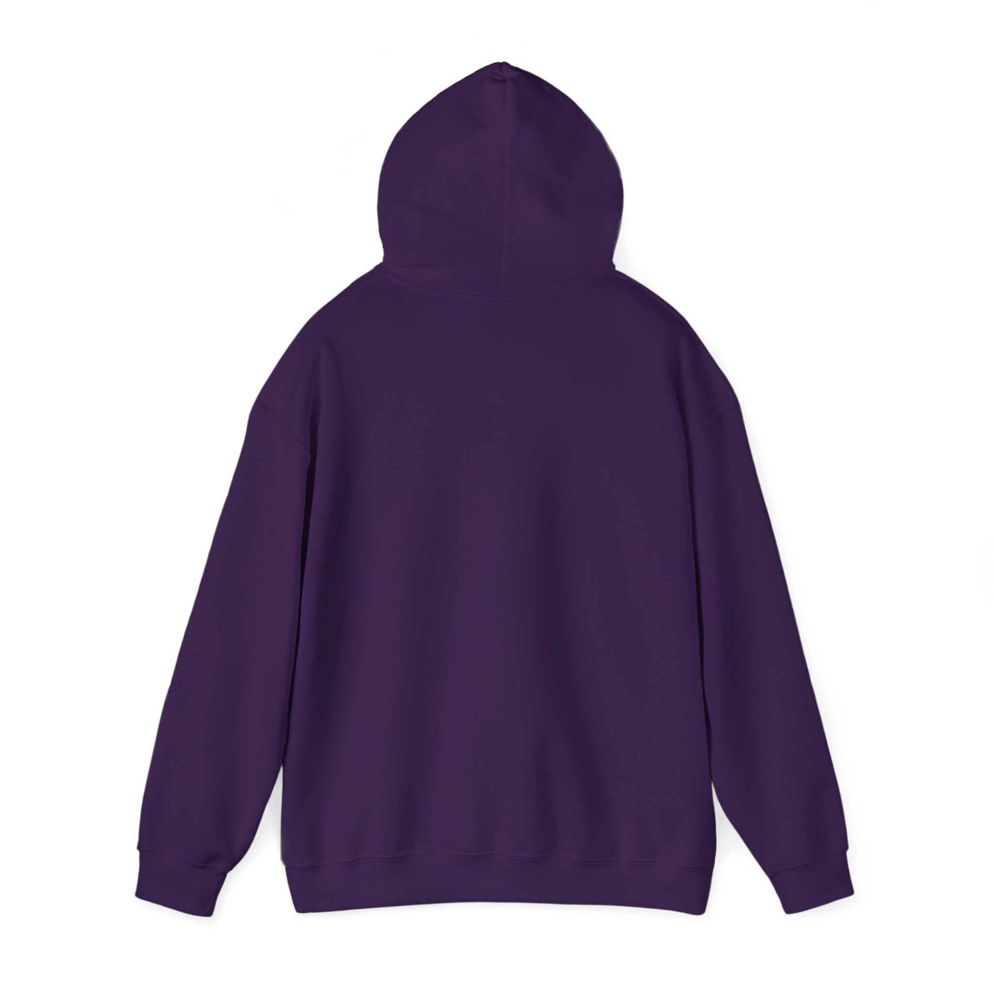 Faith Inspired Hooded Sweatshirt - Faith & Comfort Wear