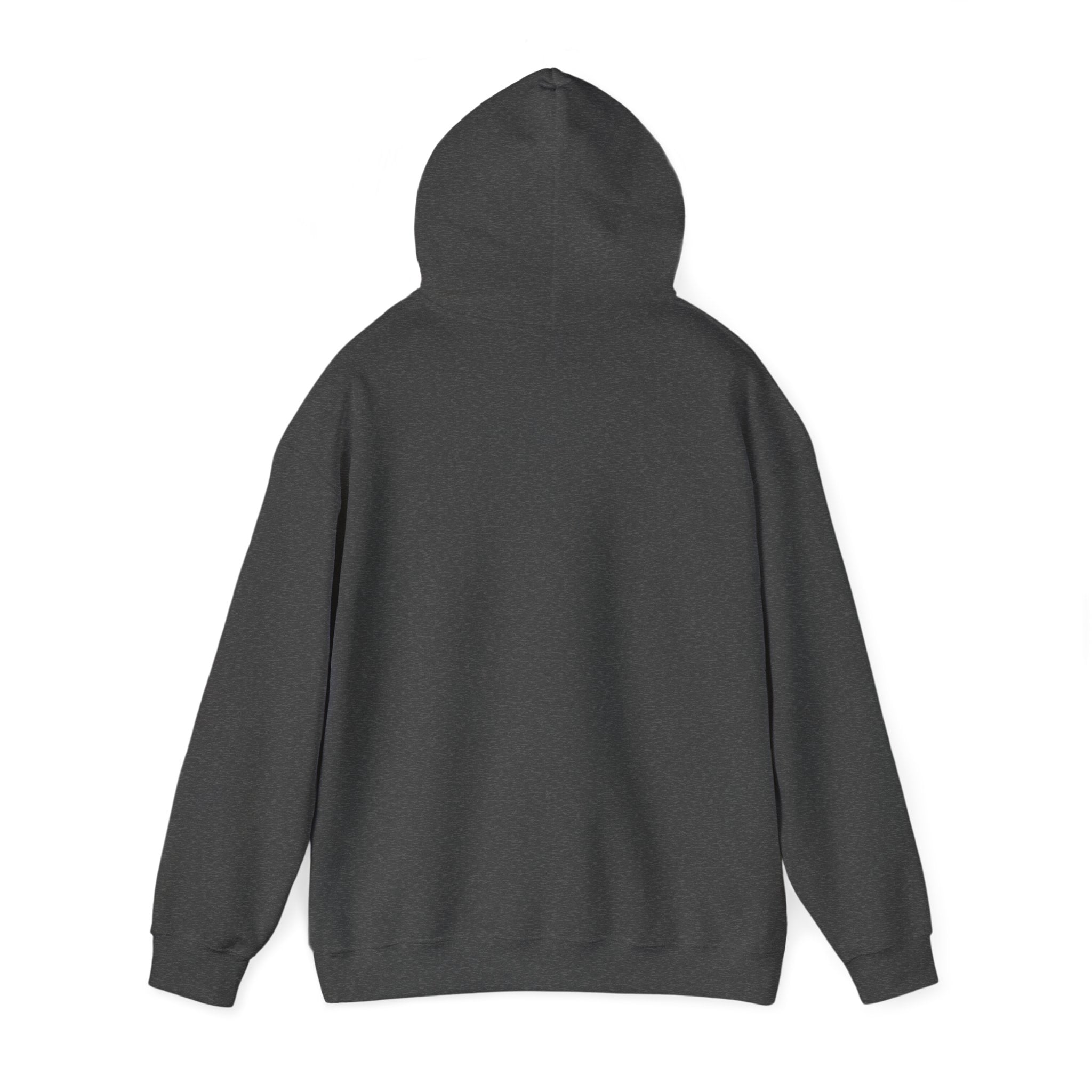 Dream Chaser Hooded Sweatshirt
